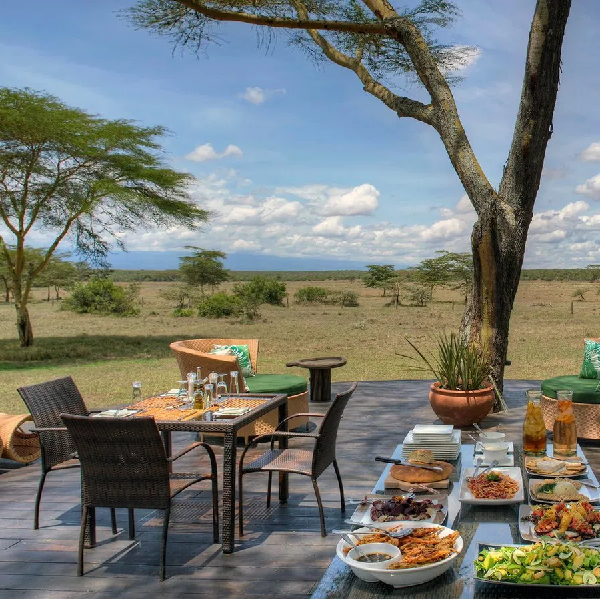 11 DAYS KENYA AND TANZANIA LODGE TOURS